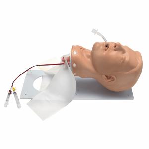 Adult Deluxe Airway Management Trainer with Board